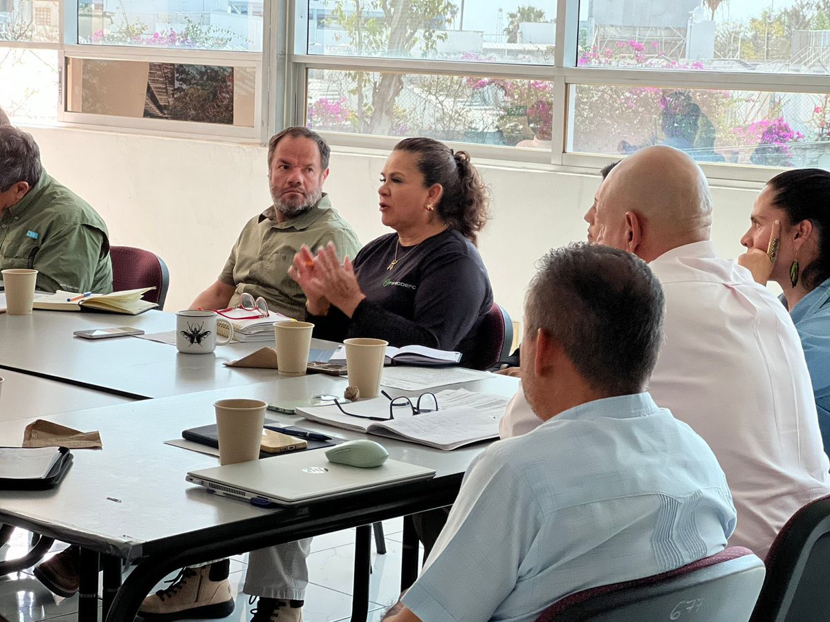 FIPRODEFO tweet media