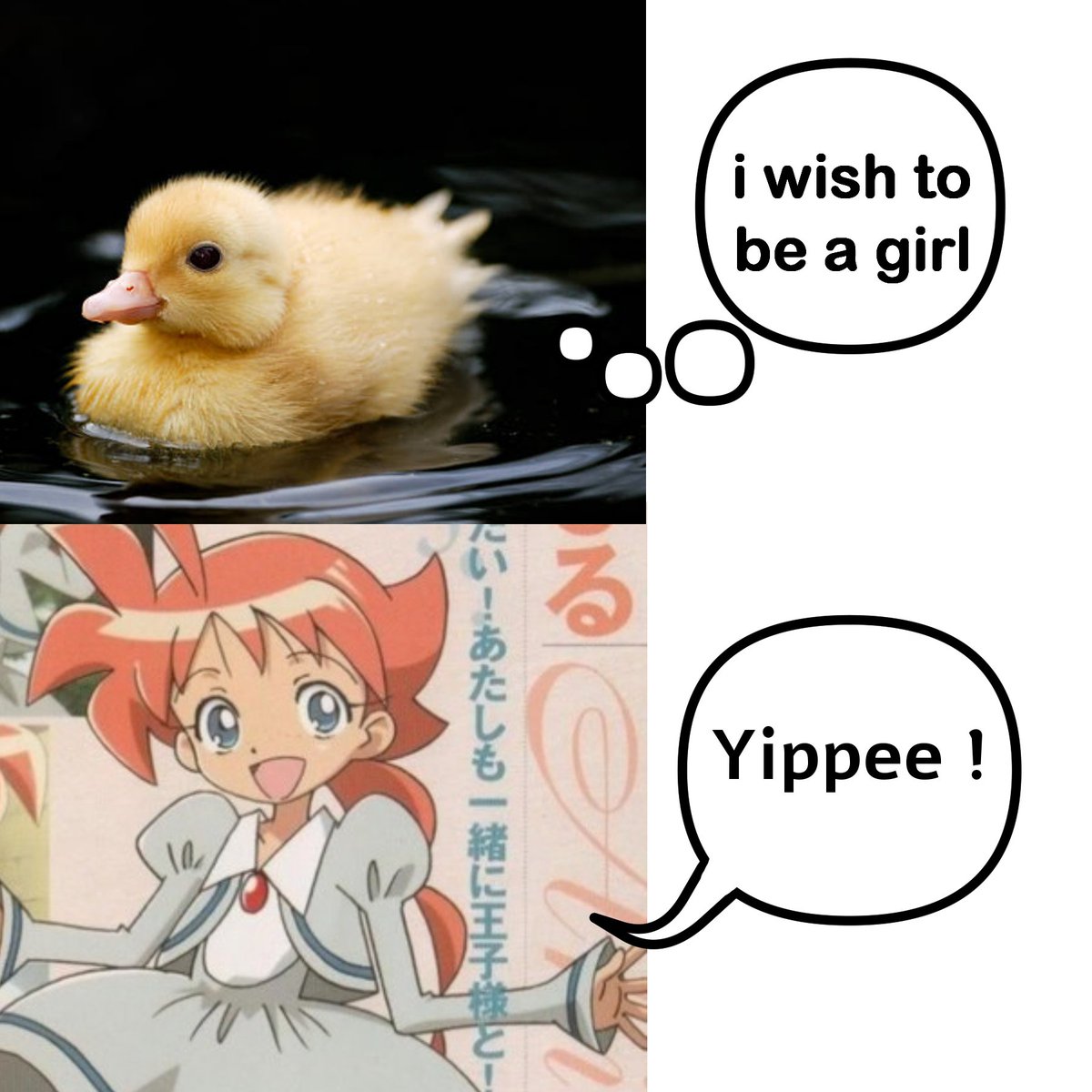 bread ⚢ tweet media