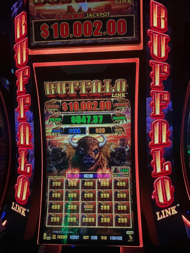 PlainridgePark's tweet photo. THE SLOTS ARE HOT 🔥💰WHO’S NEXT
FRIDAY FULL OF WINS🎰

#plainridgepark #casino #slots #jackpot #bigwin https://t.co/RY0EPpp02e