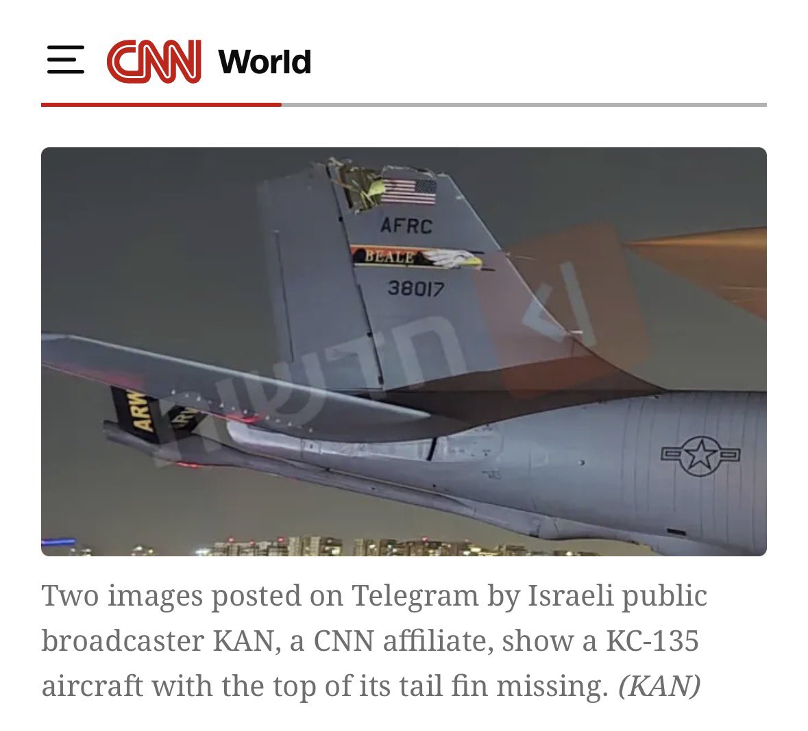 professional hog groomer tweet media