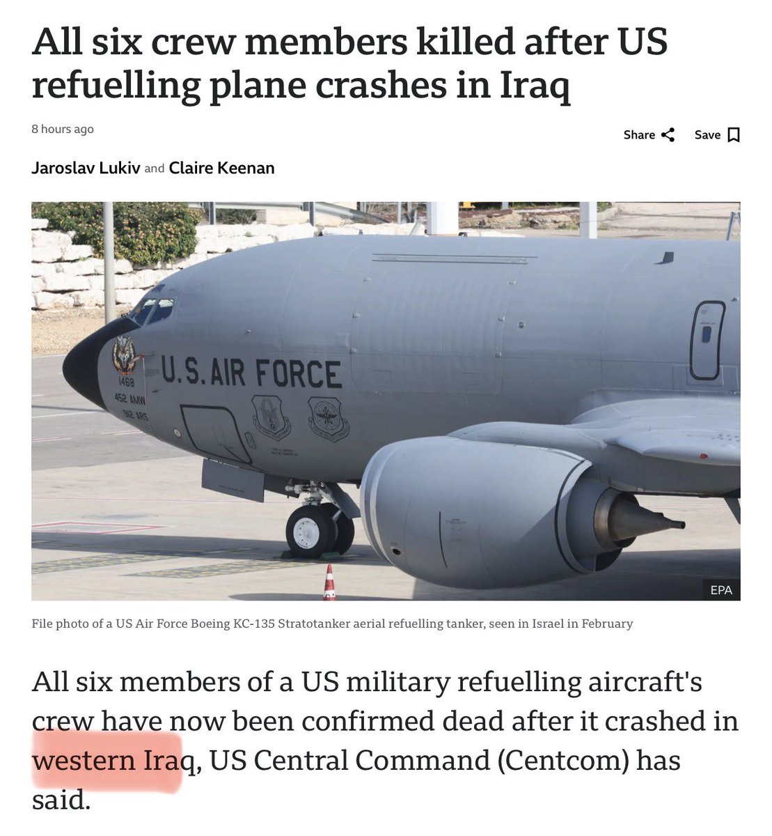 professional hog groomer tweet media