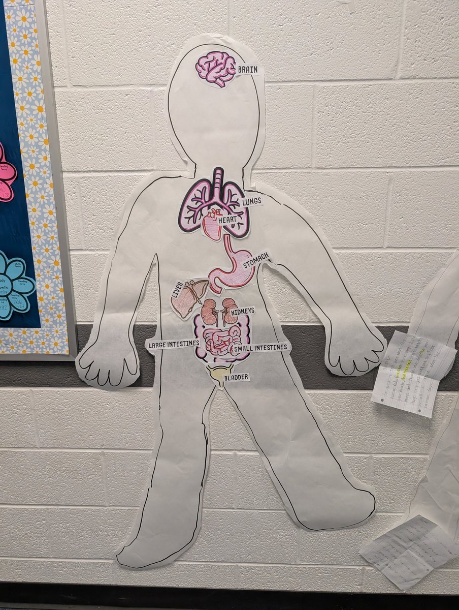 Brittany Molnar tweet media