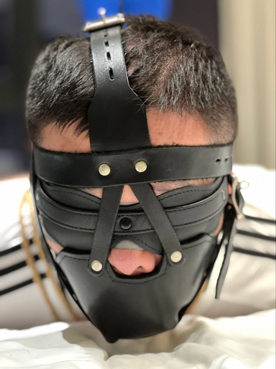 拉斐尔 tweet media