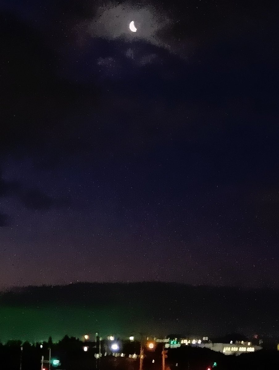Ulah8Sc's tweet photo. 相棒犬にベッド下で起床を促され、目覚めた時間は５時44分🌔
もう少し明るくなるまで寝かせてくれや
😪
おはようございます😊 https://t.co/0qrnWFcXfd