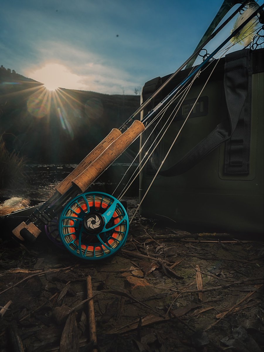 Nautilus Reels tweet media