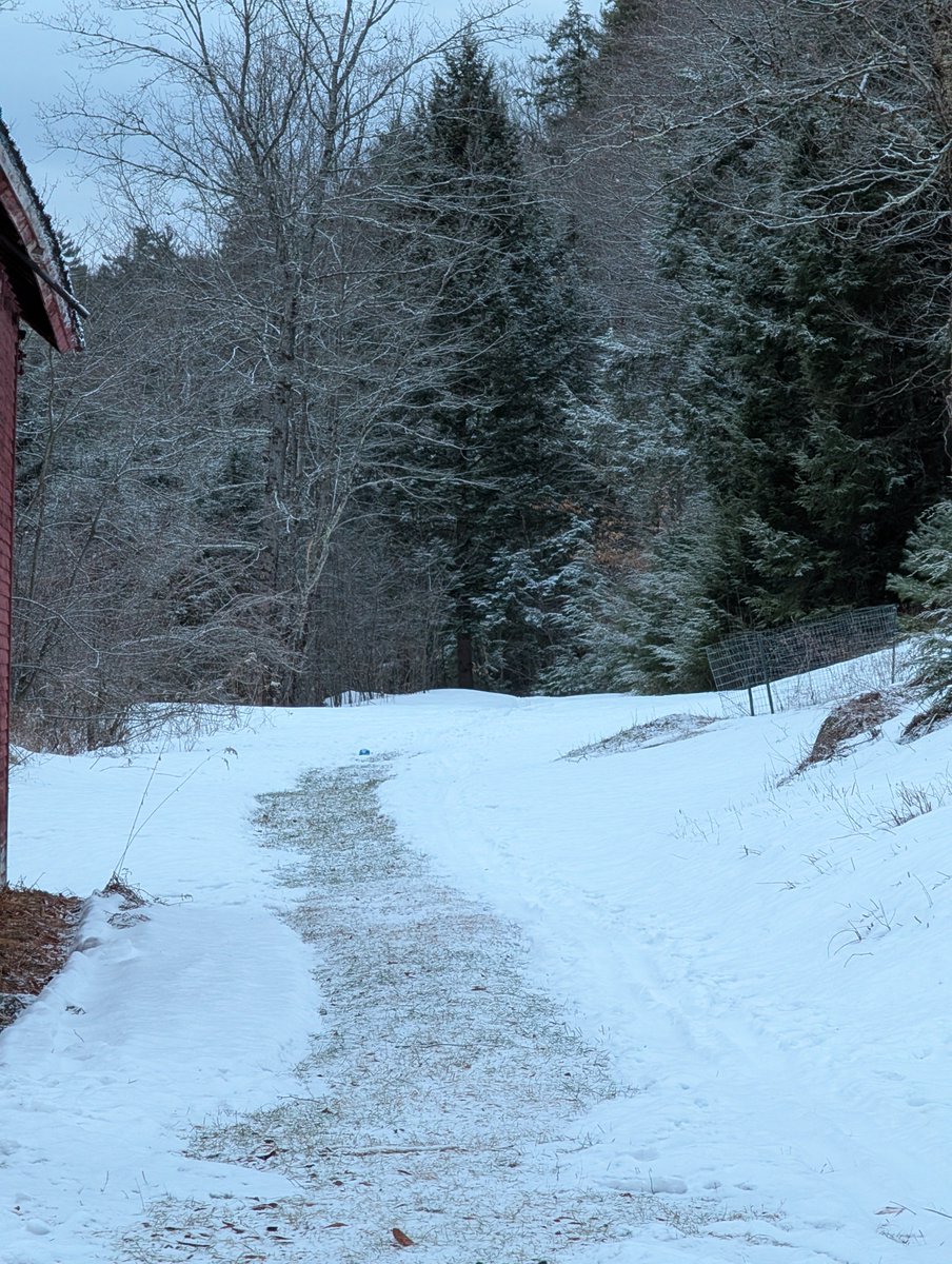 Joe Norman tweet media