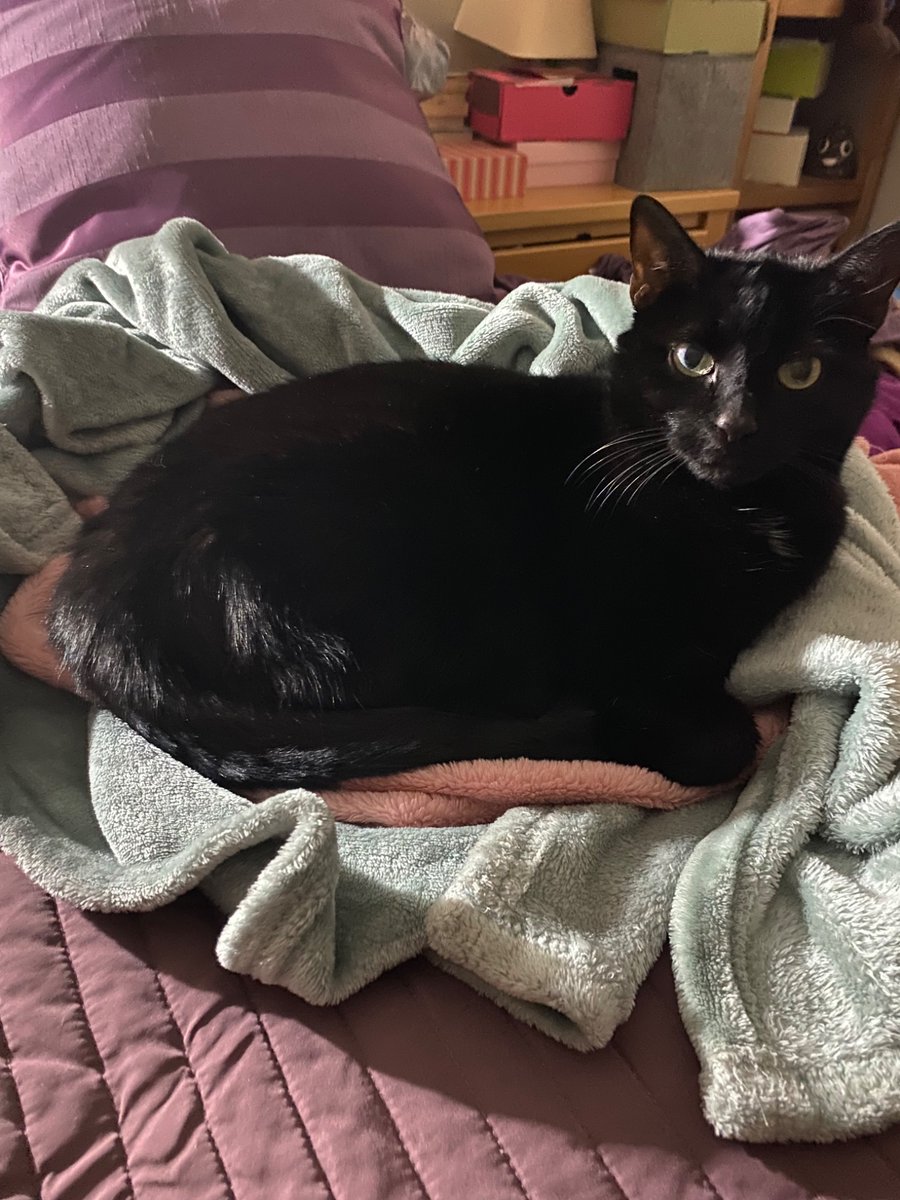 Heather Roy tweet media