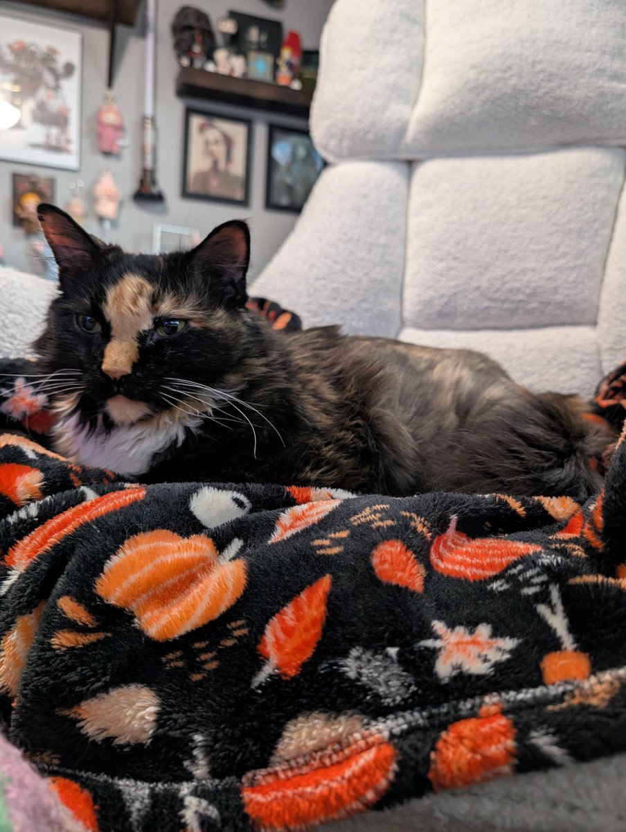 Kasey🌻👻 tweet media