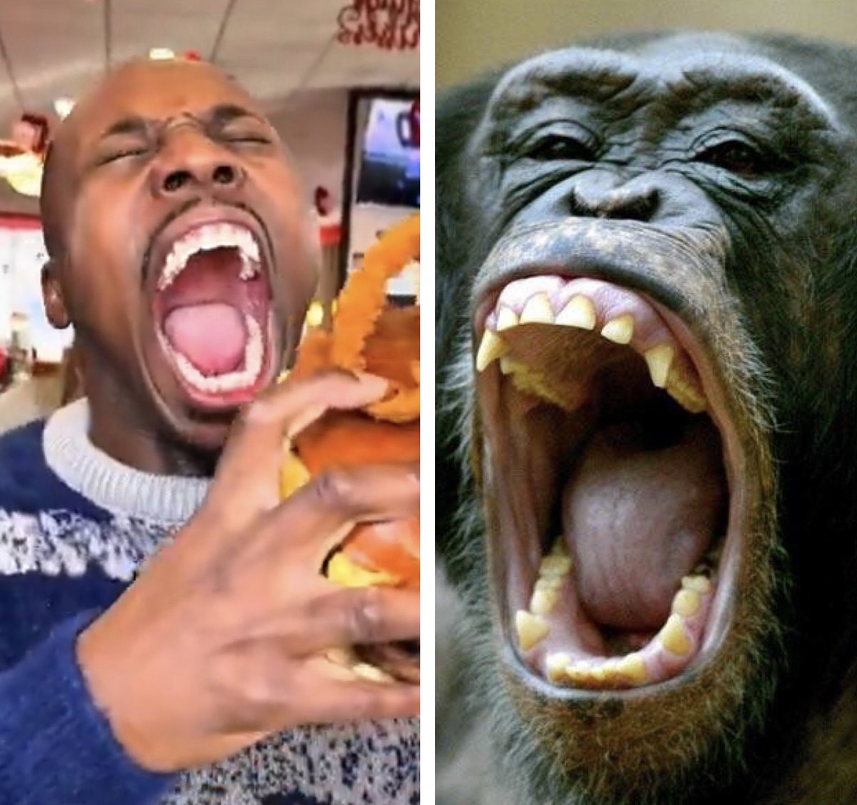 Elsewhere tweet media