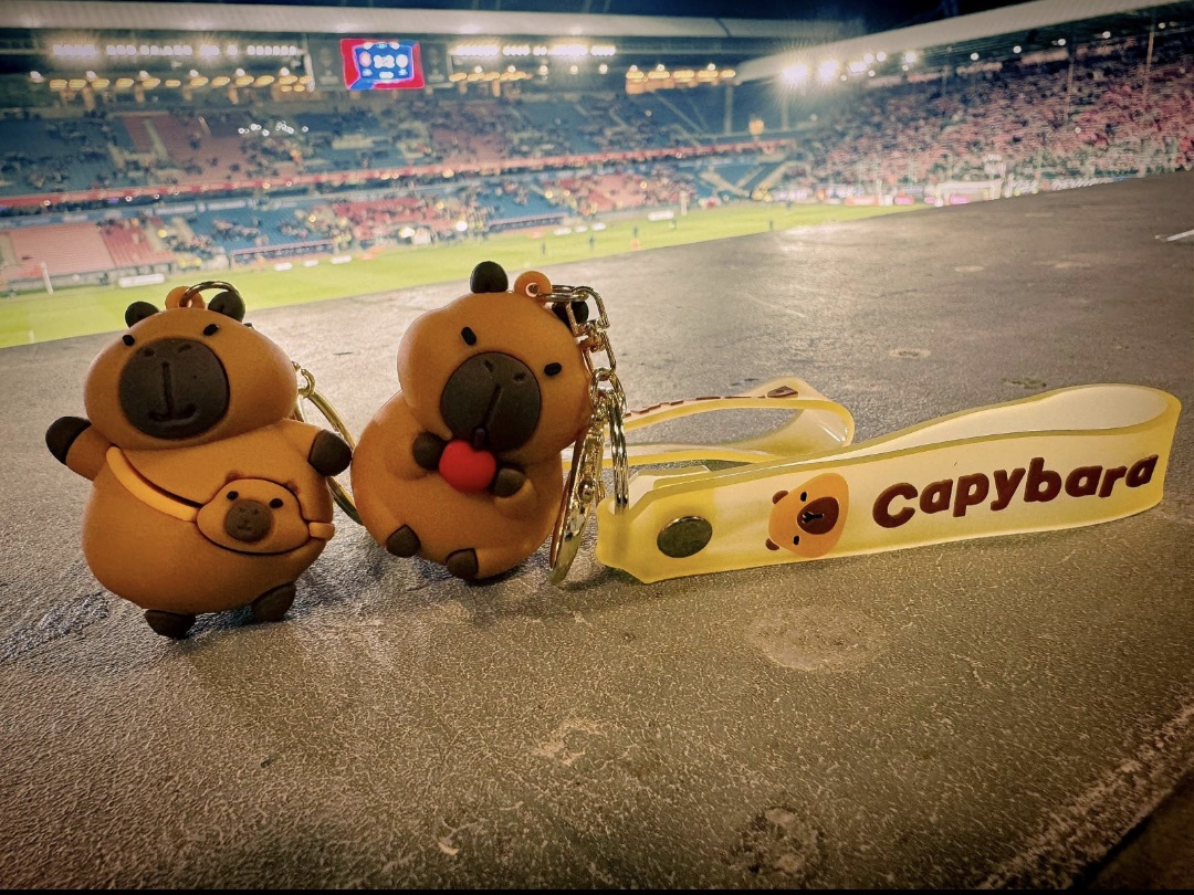 Fundacja Otwarte Ramię Białej Gwiazdy tweet media