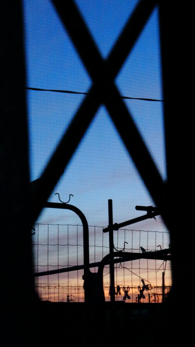 イノウエ タイジ tweet media