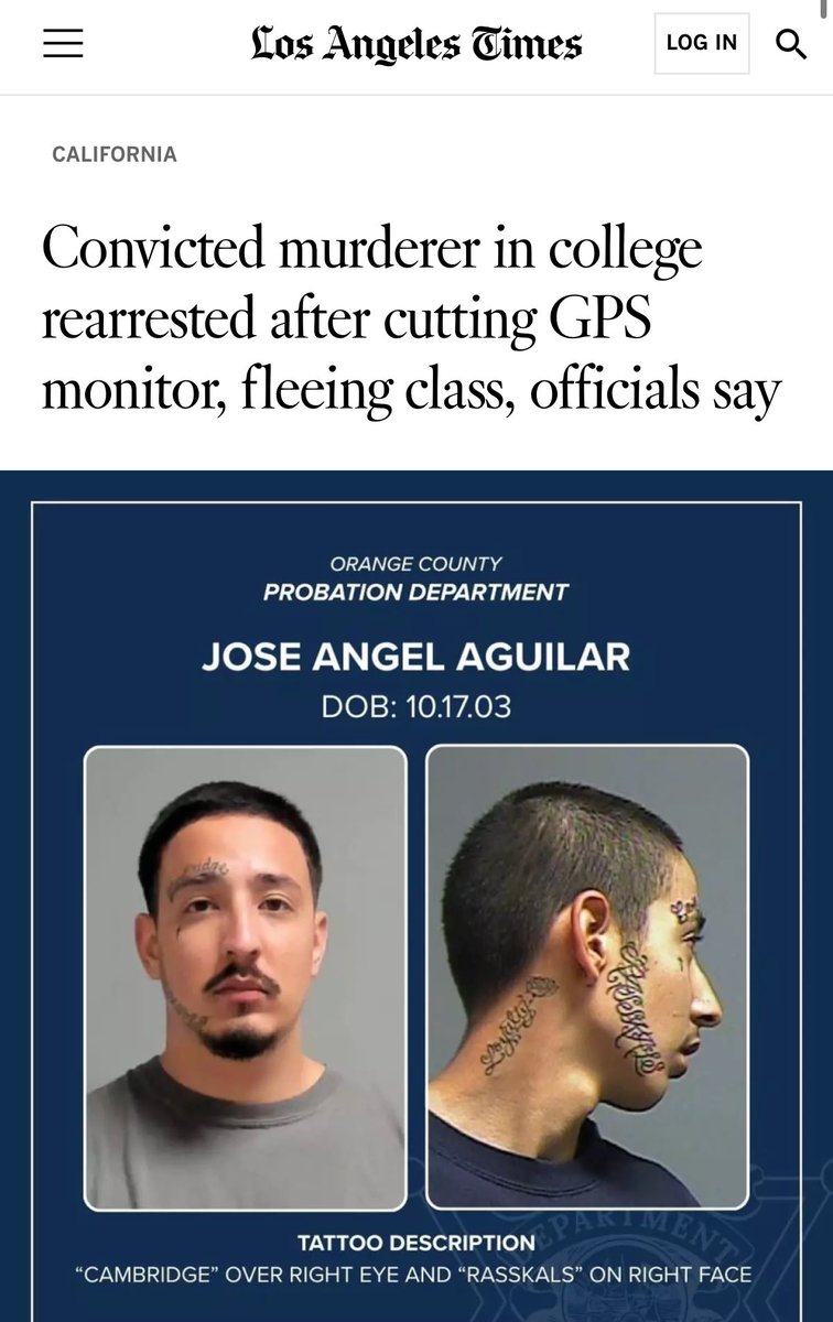 Kevin Dalton tweet media