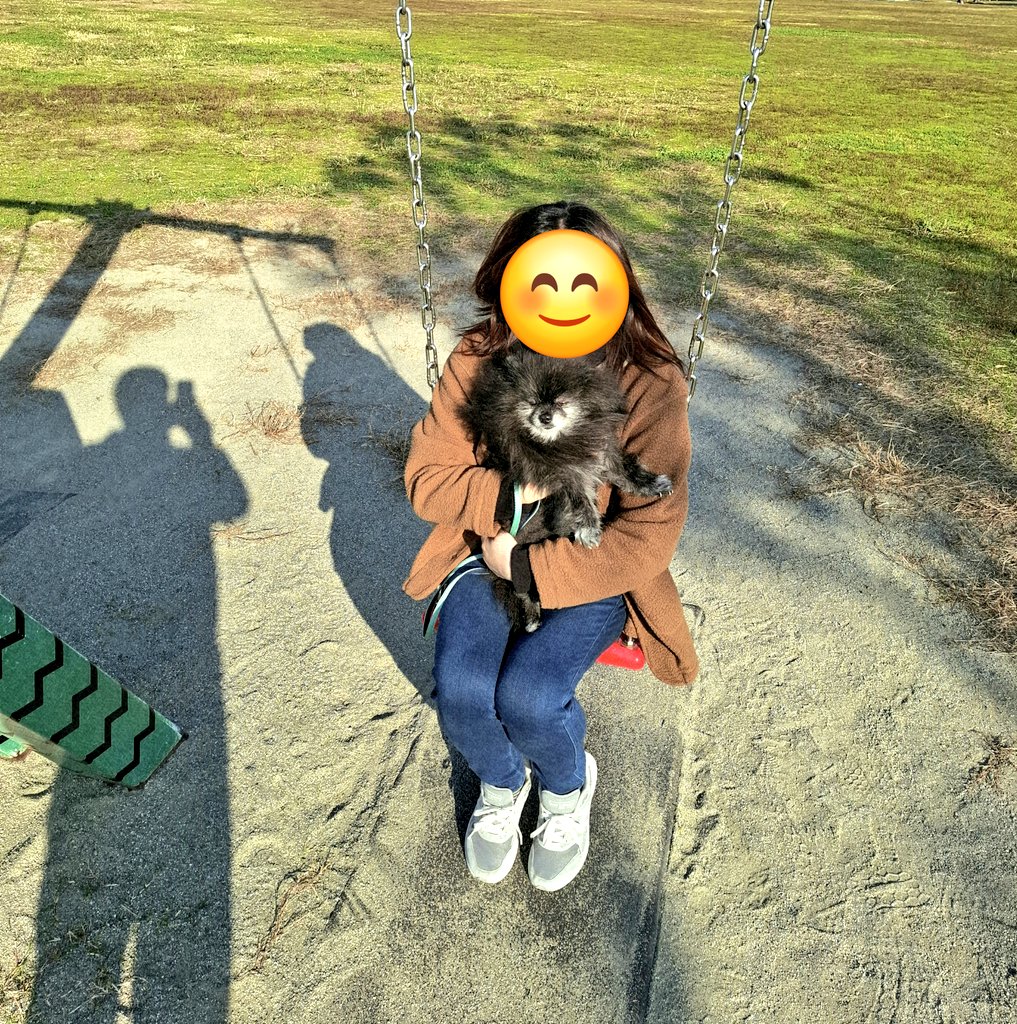 どんべえ tweet media