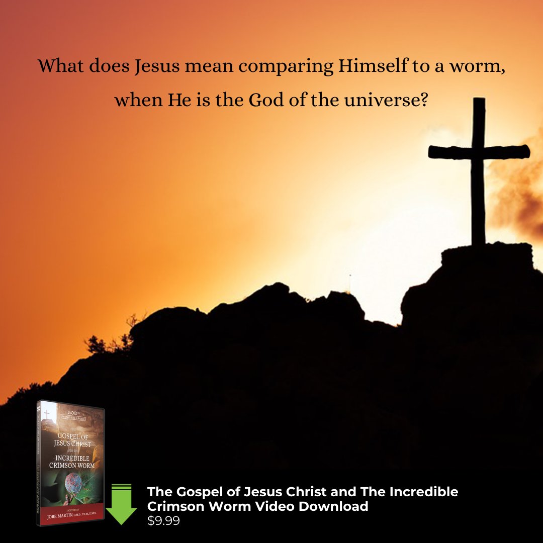 Creation Today tweet media