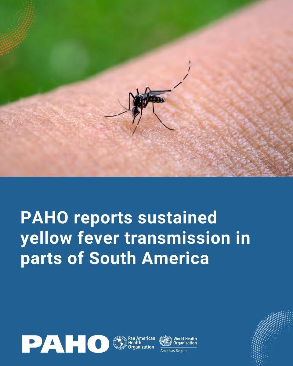 PAHO/WHO tweet media