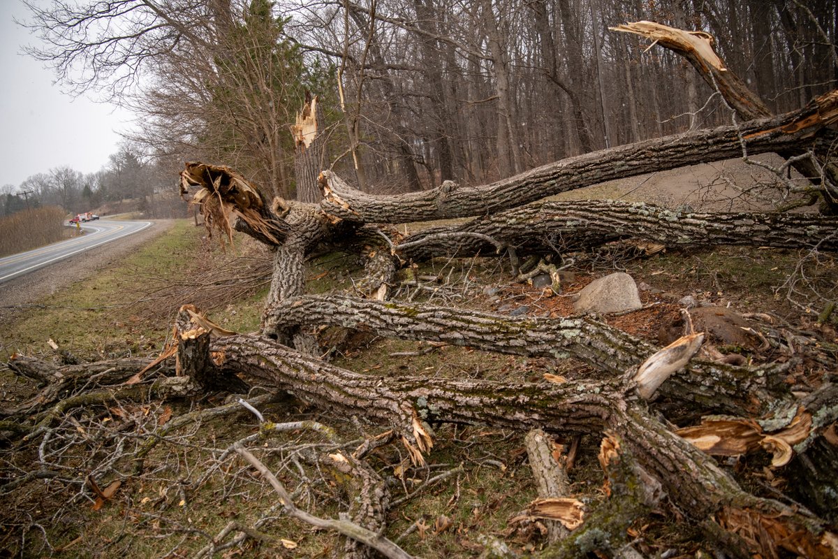 Consumers Energy tweet media