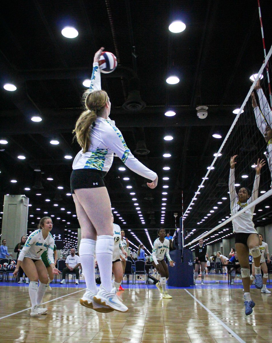 The Academy Monon Select tweet media