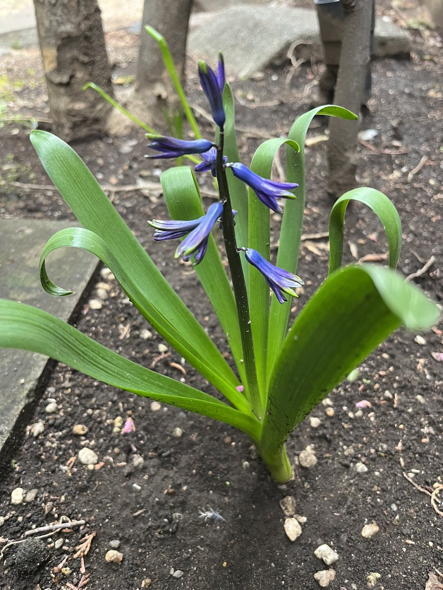 冥夢 meimu tweet media