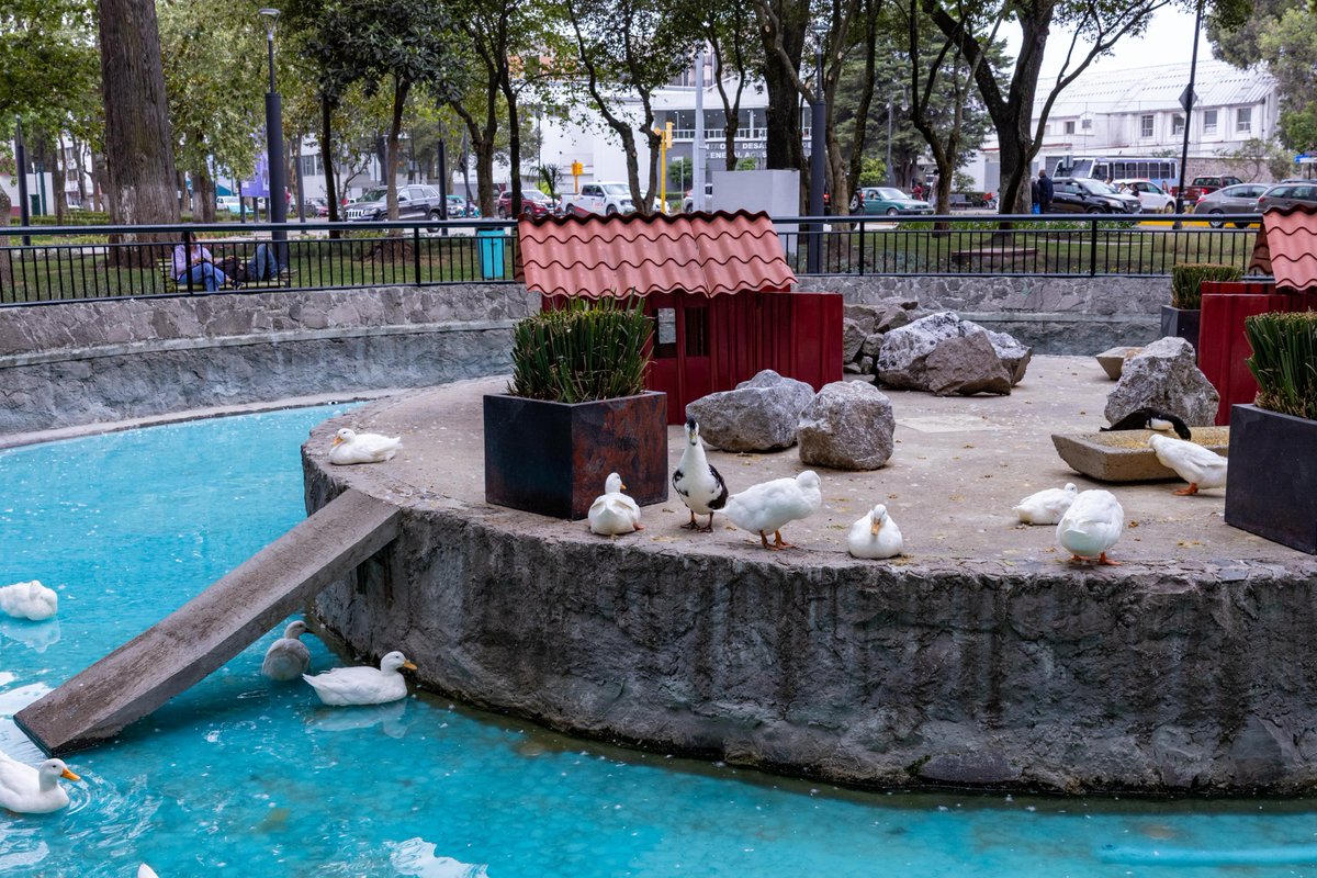 Germán Zepeda tweet media