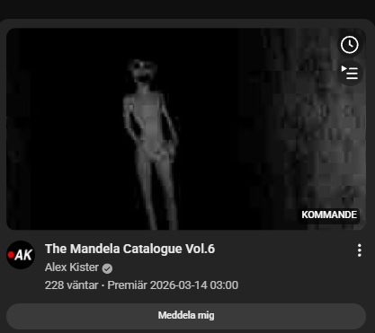 mini/Munken🦜 tweet media