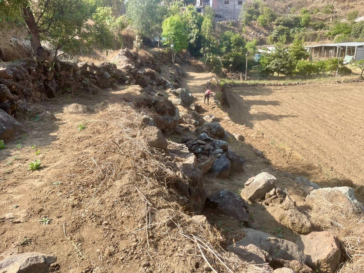 Adán Peña tweet media