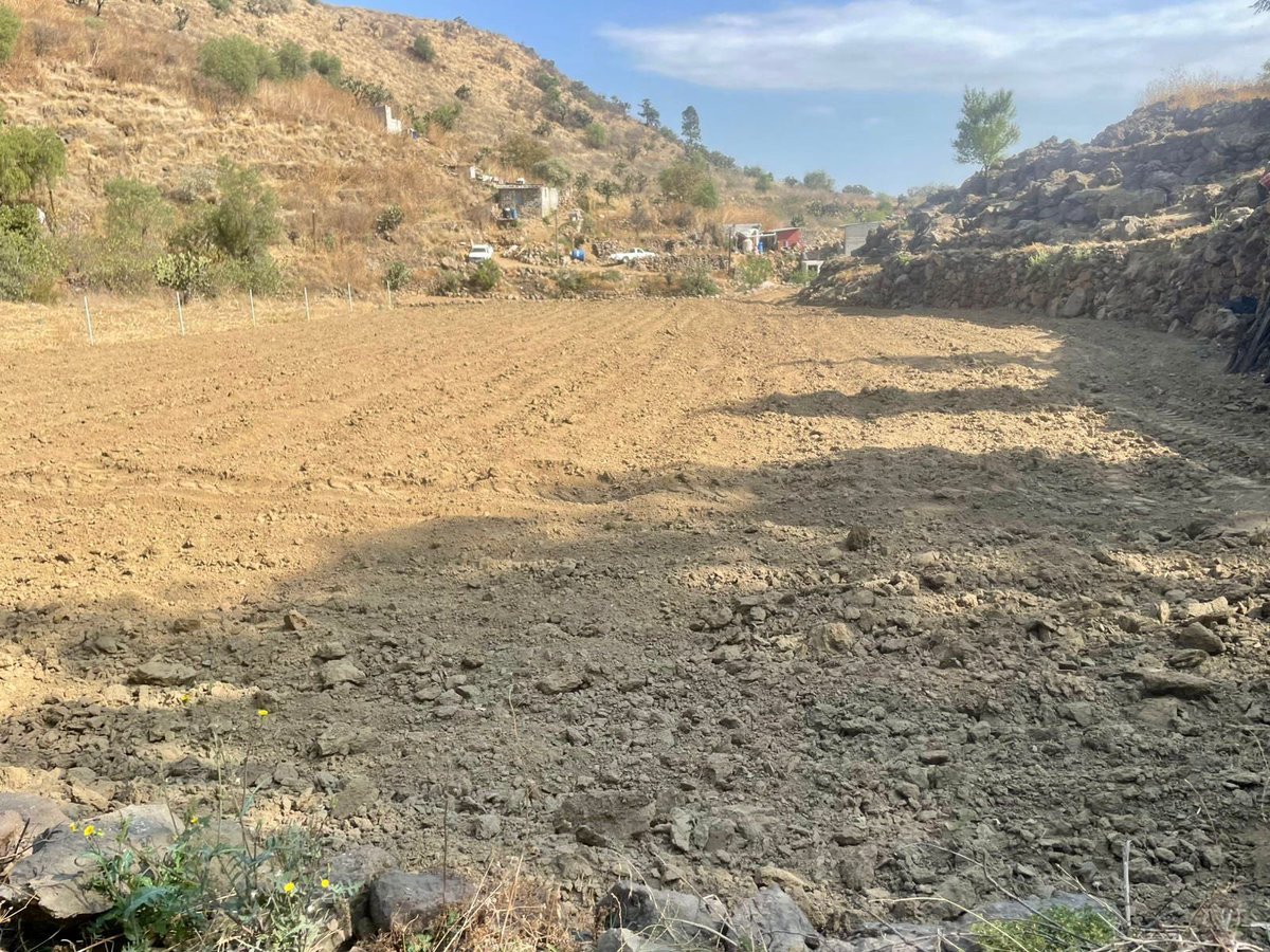 Adán Peña tweet media