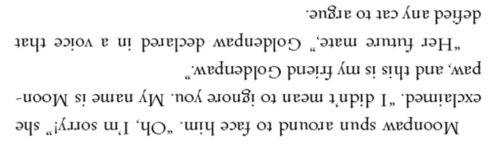 🫧 tabi ! ceo of birchfeather tweet media