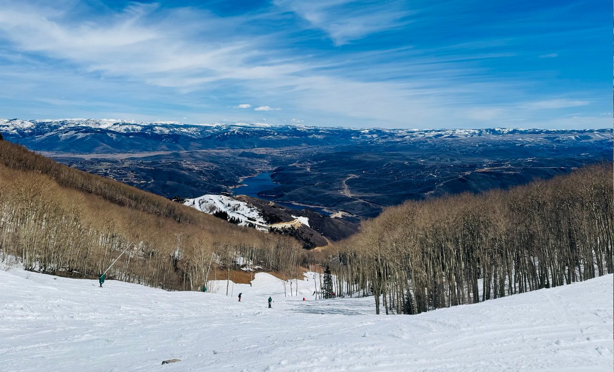 Jon Finkel📚💪 tweet media