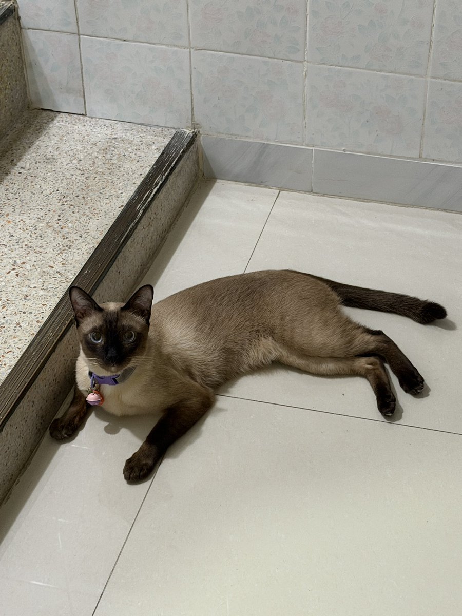 ซิ่งฝู นิ่วทุกท่าน