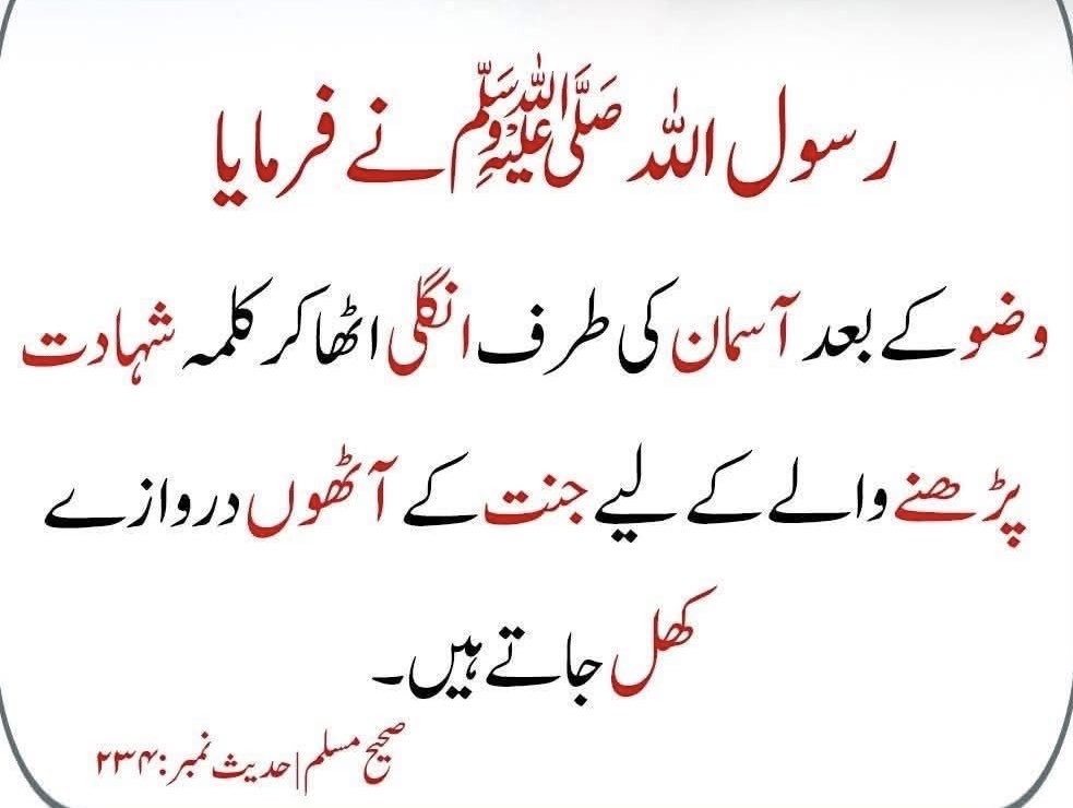 Abid Sher Ali (@abidsherali) on Twitter photo 