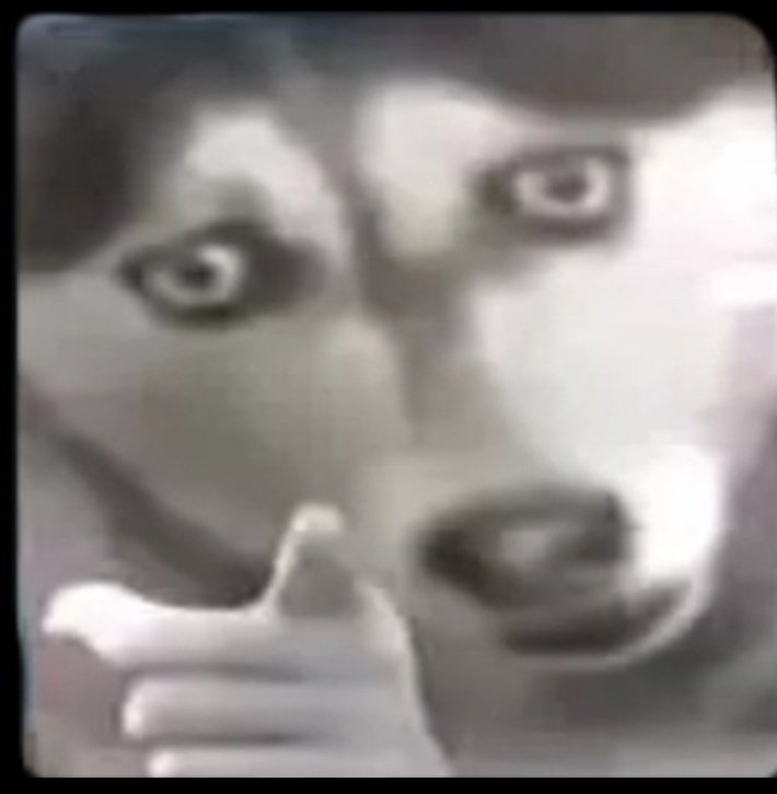 JOSEPH⚡ tweet media