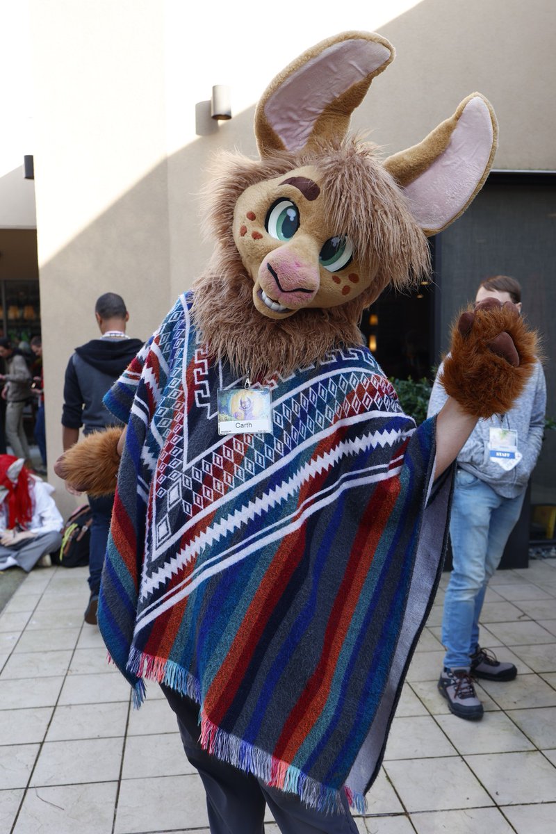 Carth the Llama tweet media