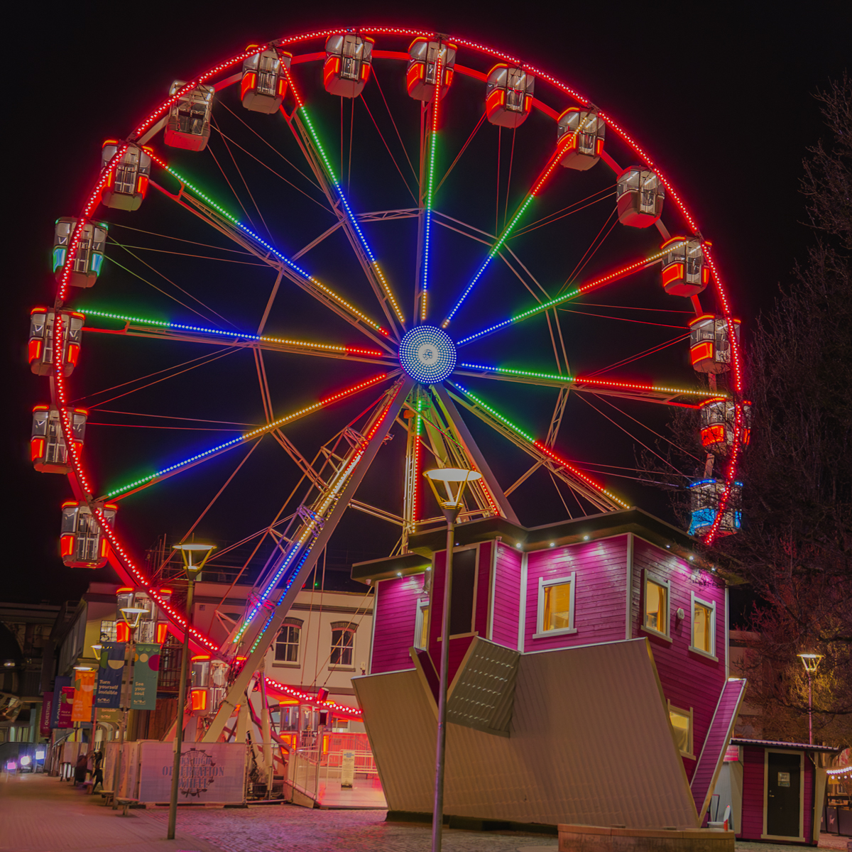 Daily Picture Theme tweet media