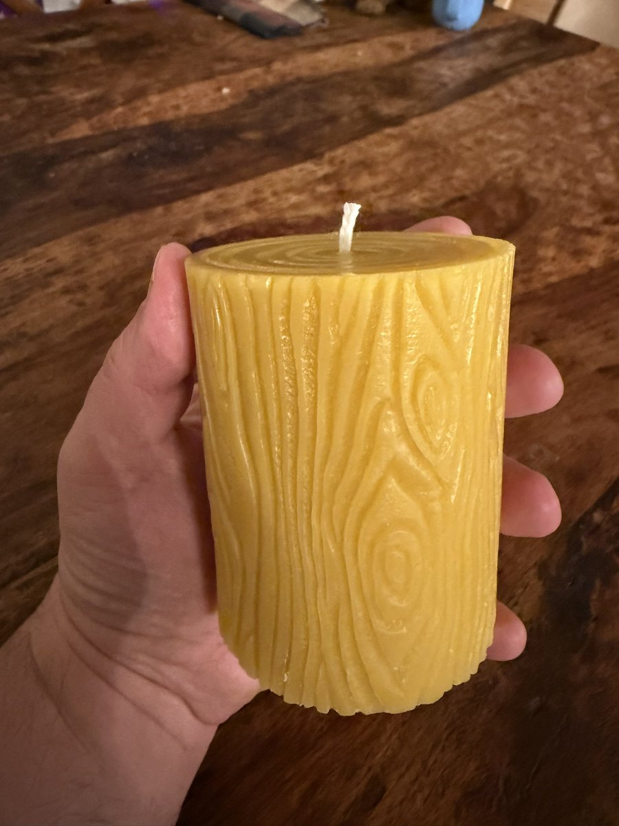 Old Hollow Tree tweet media