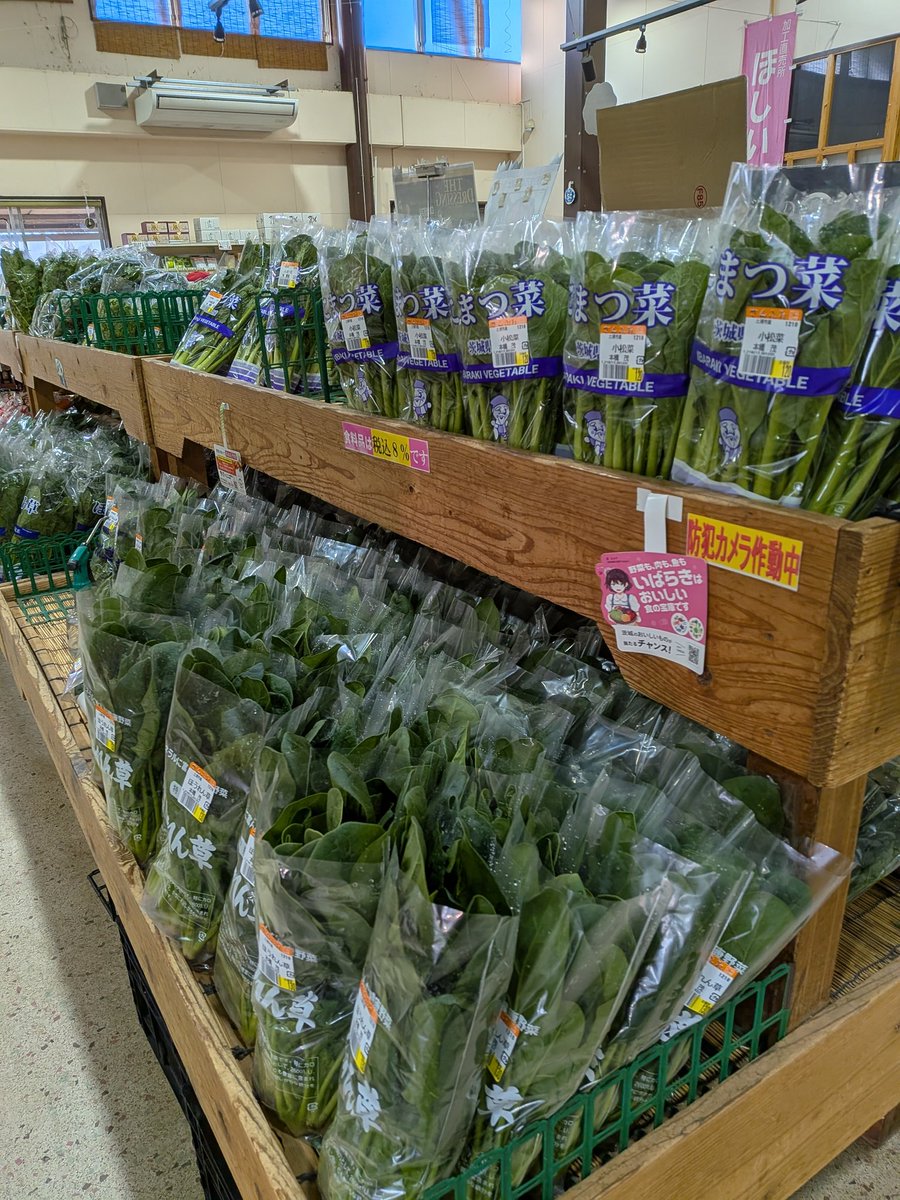JA07734282's tweet photo. 【特売のお知らせ】
3月14日(土)〜3月22日(日)にweek sale開します！
R7年・茨城県産　コシヒカリ30kg玄米を✧18,000円(税込)で販売致します。
※精米での購入は通常料金をいただきます🙇‍♀️
ぜひ、この機会にお買い求めください！！ご来店をお待ちしています。
https://t.co/6J0bn3QC5I https://t.co/GYjtZVDJho
