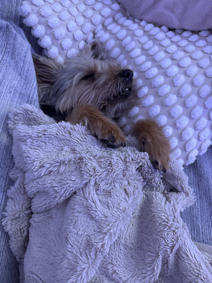 DarthPoti😎 tweet media