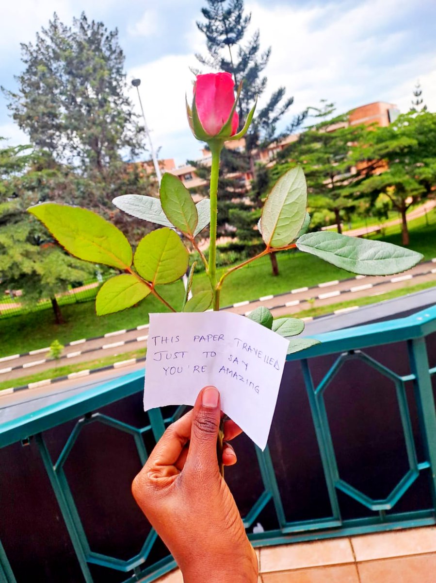 AYLF Kigali tweet media