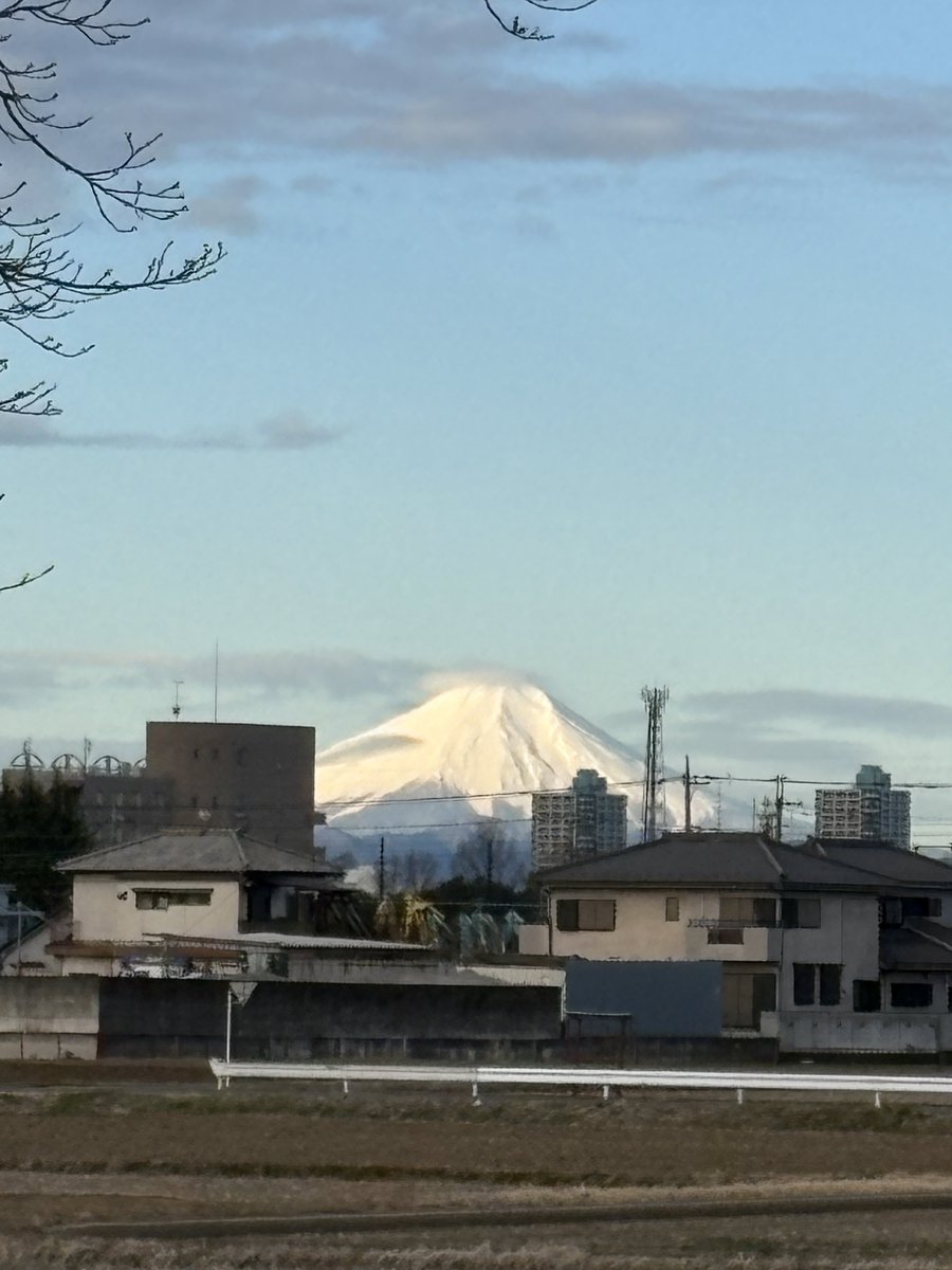 west2538's tweet photo. 富士山と菜の花を眺めながらカブ散歩 https://t.co/OmMScijNDY