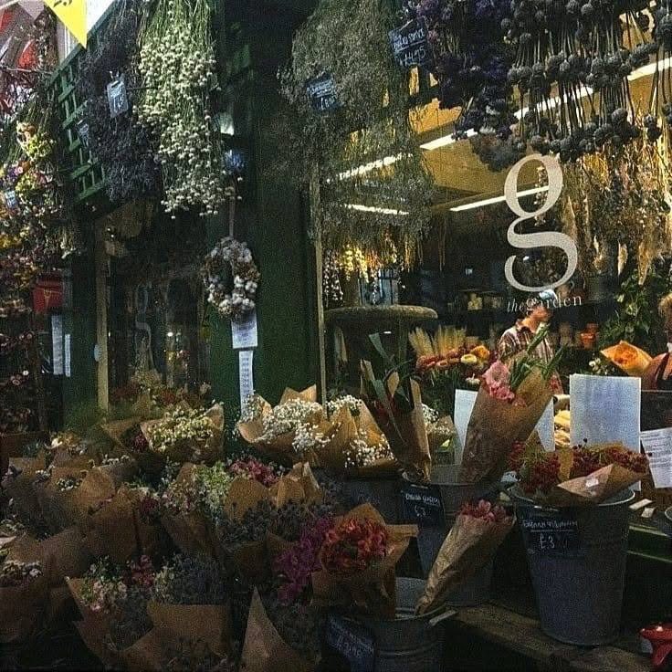 •☆• tweet media