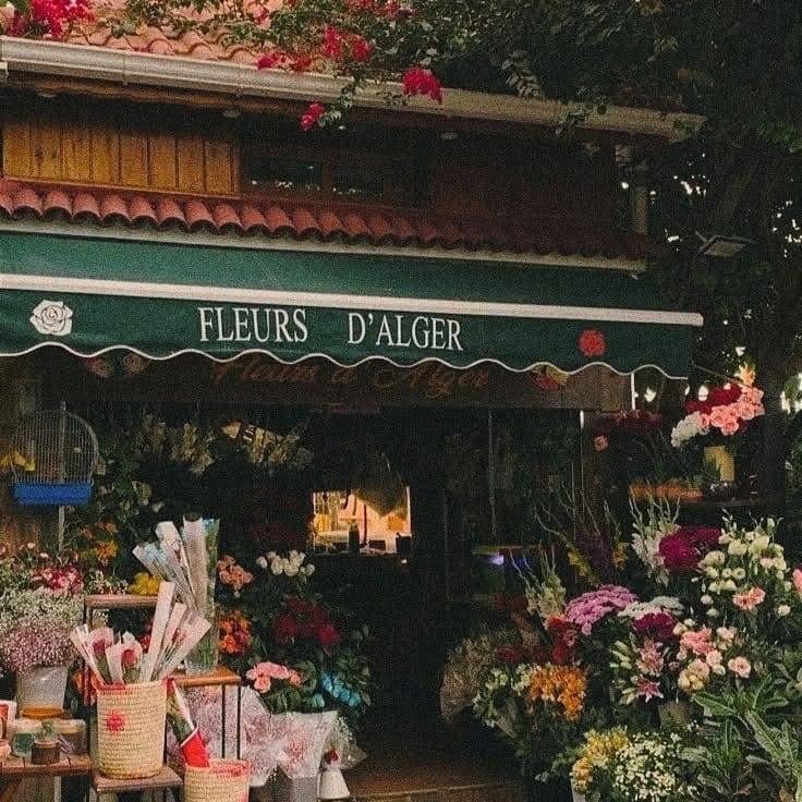 •☆• tweet media