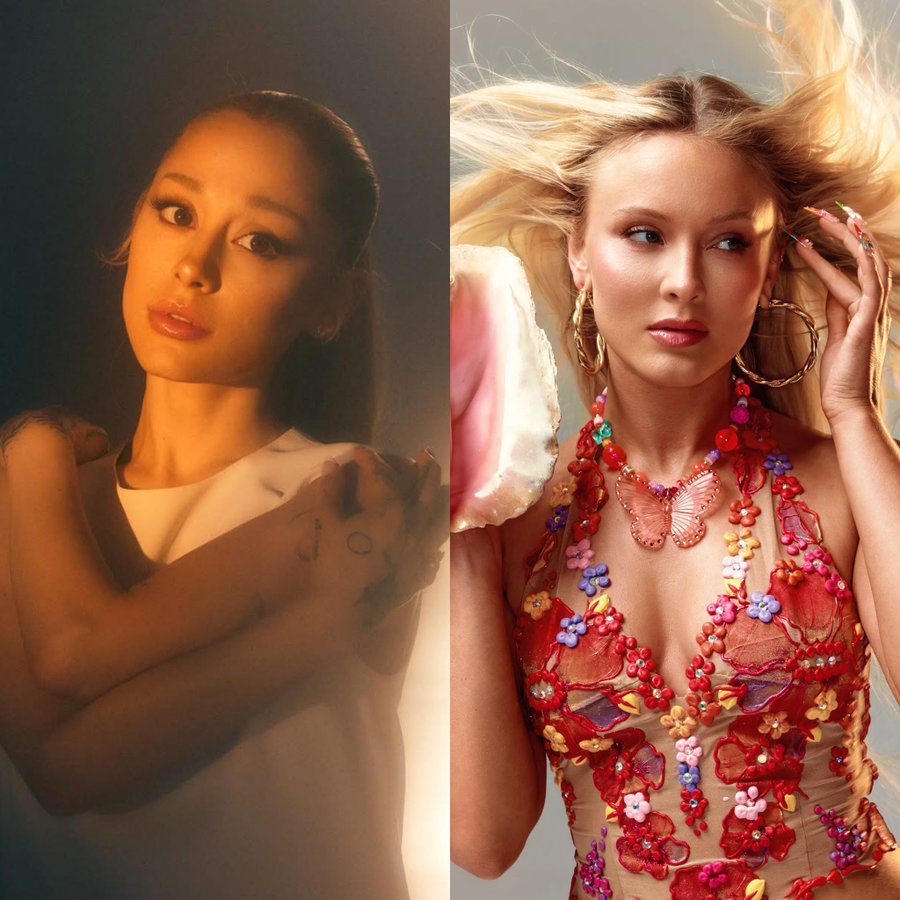 Zara Larsson Info tweet media