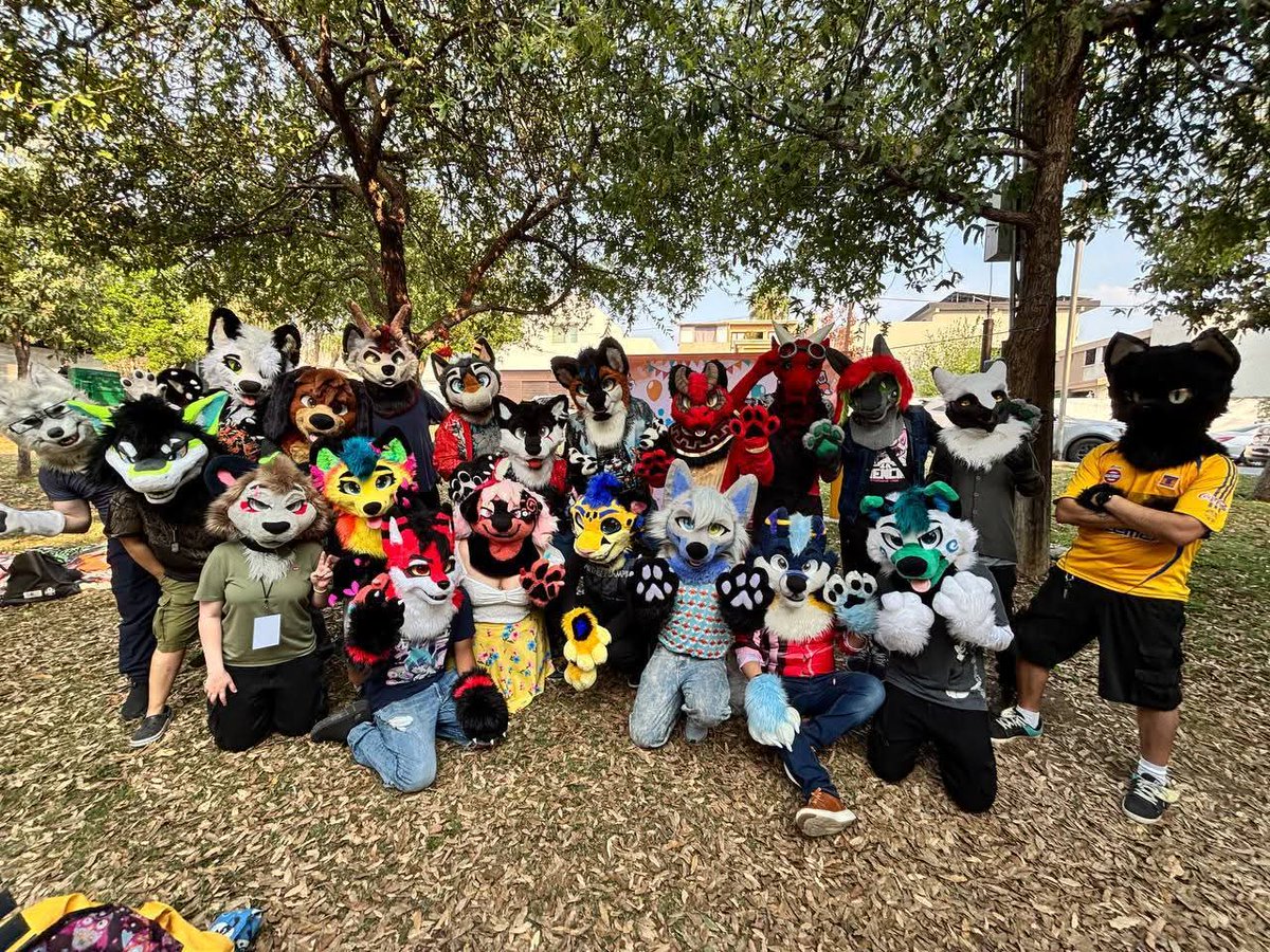 Einon 🔜 ❓️❓️❓️🐈‍⬛ tweet media