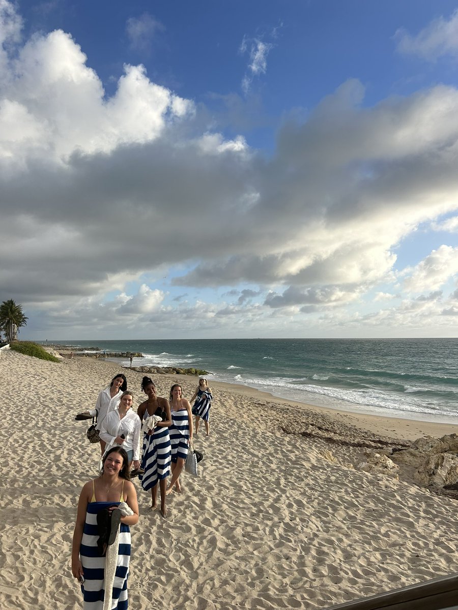 Minnesota Volleyball tweet media