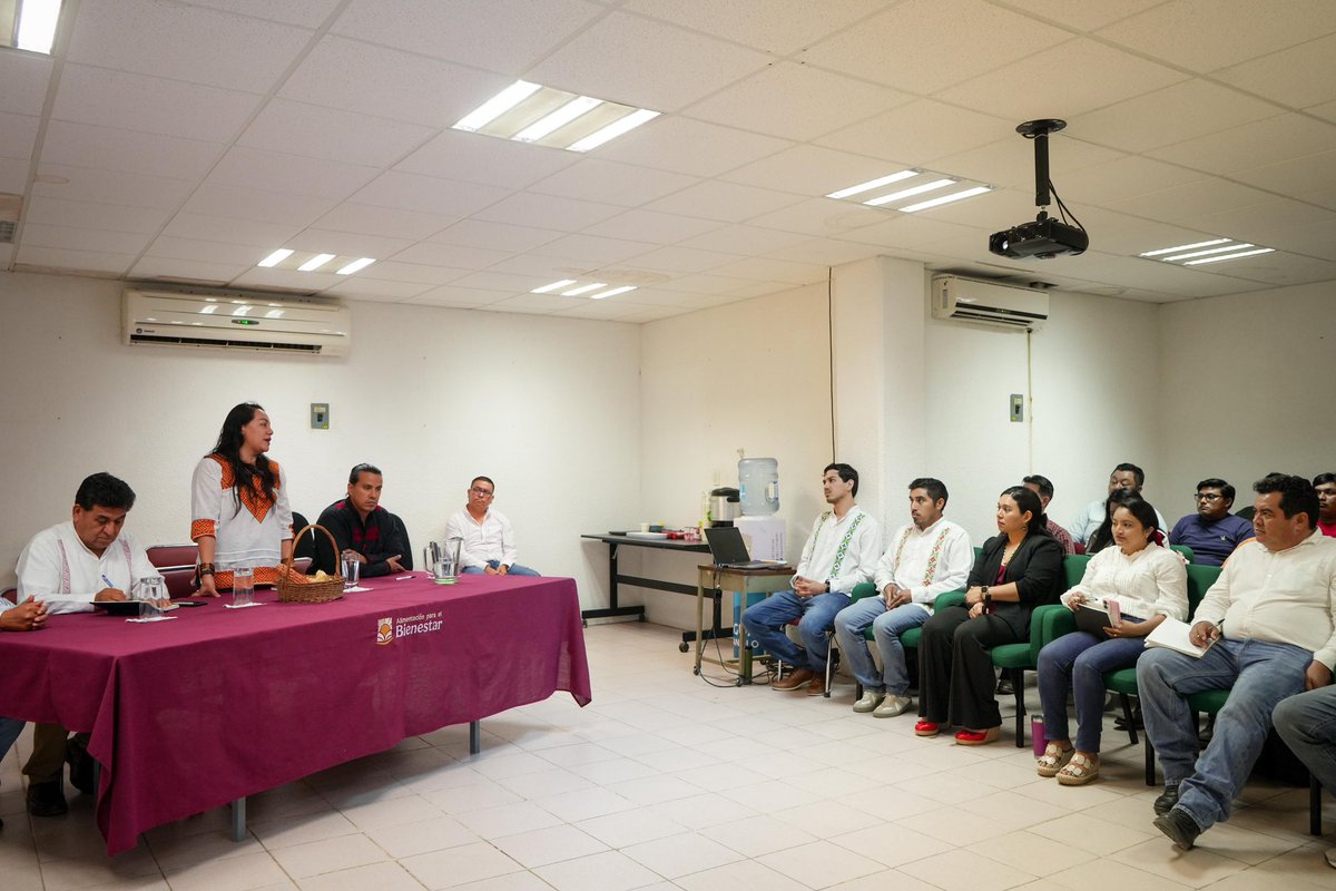 Mary_Luisa_AG's tweet photo. Como parte de las acciones en territorio para avanzar con el Plan Nacional de Maíz Nativo: #ElMaízEsLaRaíz, esta tarde nos reunimos con técnicas y técnicos territoriales en la Unidad Operativa Campeche. 🤝🏽🌽

Junto al equipo de @alimenbienestar que coordina este programa, reiteramos que la capacitación constante y el trabajo colectivo son clave para impulsar el bienestar y la prosperidad de las y los sembradores de este bendito grano. 💚