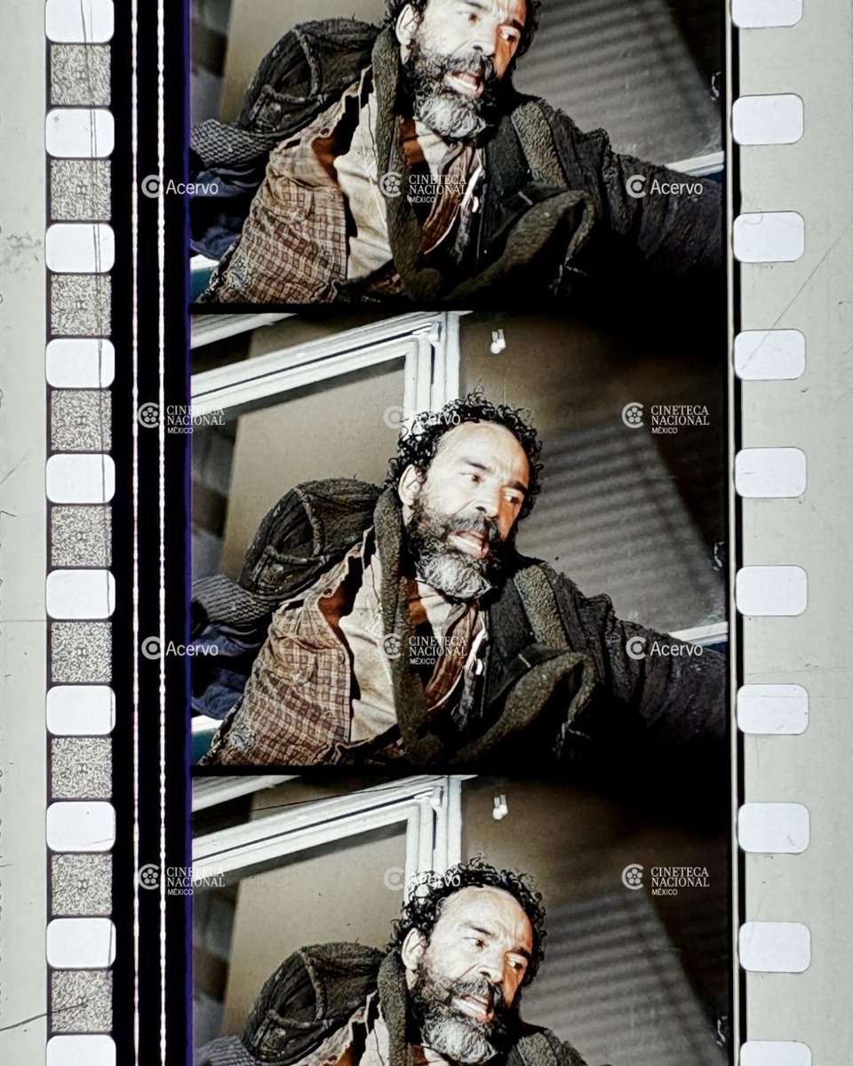 Cineteca Nacional tweet media