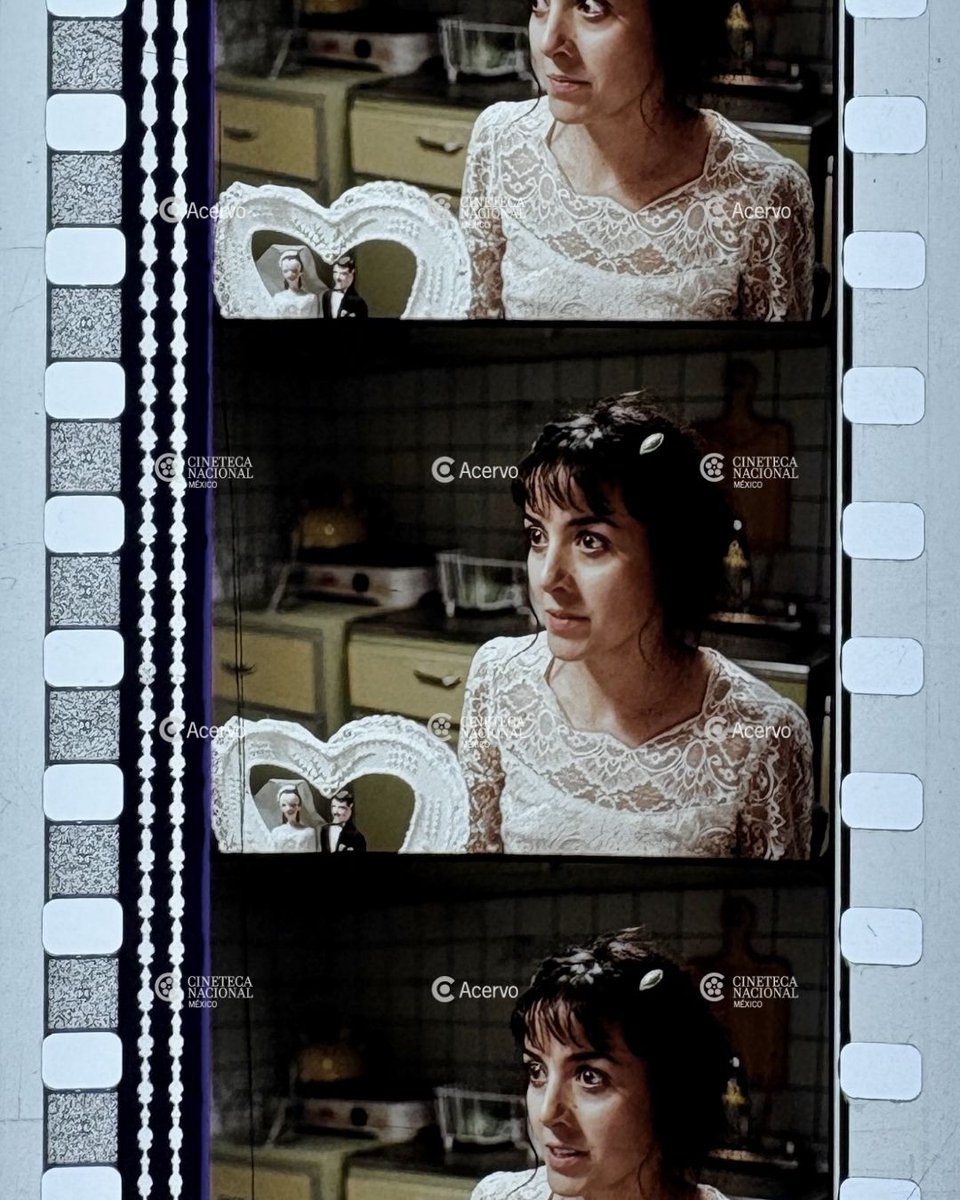 Cineteca Nacional tweet media