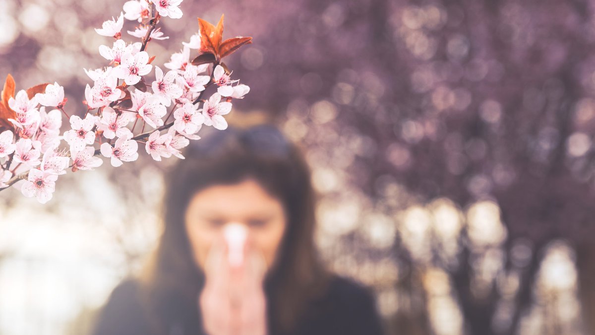 UFCW & Employers Trust tweet media