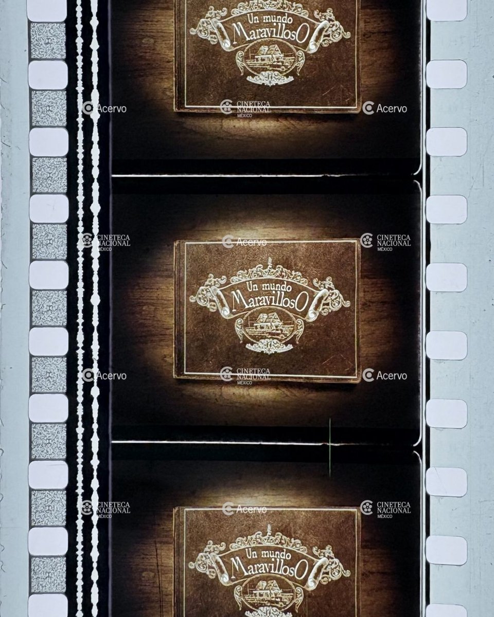 Cineteca Nacional tweet media