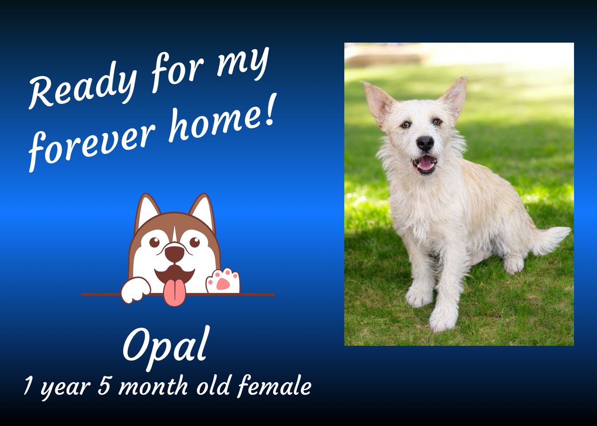 K-FROG Radio tweet media