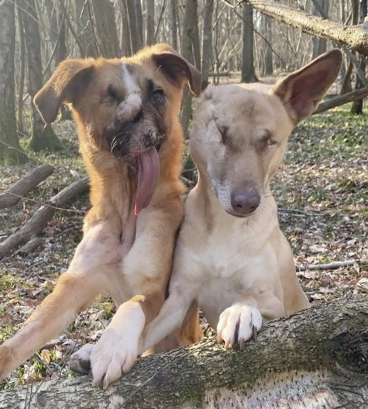 Kristina Bolten tweet media